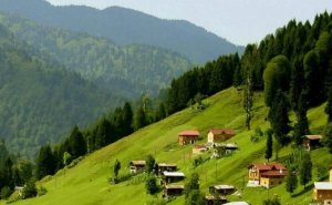 Gürcüstandan Azərbaycana gələn turistlərin sayı AÇIQLANIB