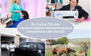 Bu il 750-dək məcburi köçkün özünüməşğulluq proqramına cəlb olunub