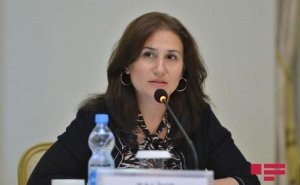 Bizə müraciət edən qadınların bəziləri heç ərizə də yaza bilmir - Dövlət Komitəsi