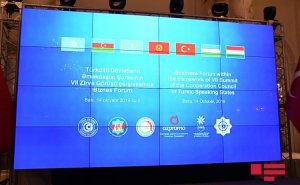 TDƏŞ-in VII Zirvə görüşü çərçivəsində keçirilən biznes forumda 14 sənəd imzalanıb