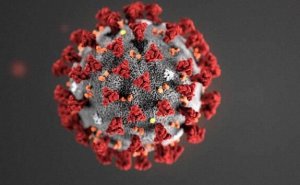 Koronavirus insanı belə öldürür - VİDEO