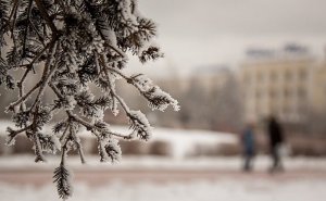 Sabah hava necə olacaq? - PROQNOZ