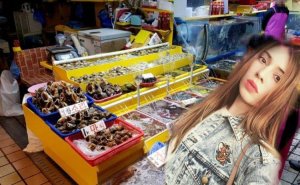Redaktor.az KOREYADA: Ən bahalı yeməli həşəratlar - QEYRİ-ADİ İNSANLAR... / FOTO / VİDEO