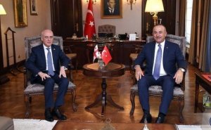 Gürcüstan və Türkiyə XİN başçıları görüşüb