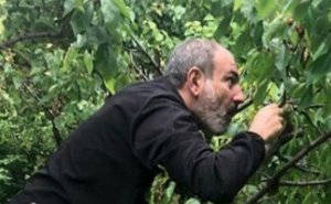 Paşinyan Batumidə “yoxa çıxdı”