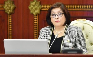 Milli Məslisin sədri Türkiyəyə gedir