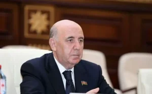 "Dərmanların keyfiyyəti və qiyməti ilə bağlı çox şikayət eşidirik" - Komitə sədri