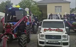 Azərbaycanda maraqlı toy: gəlini aparmağa traktorlarla gəldilər - FOTO