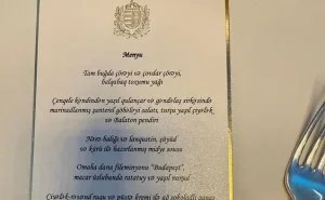Prezidentlərə təqdim olunan yemək menyusu - FOTO