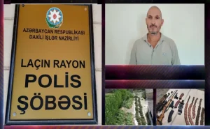 Polis Laçında çətənə bitkisi və silah-sursat AŞKARLADI