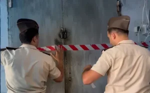 FHN bu bazarı bağladı - VİDEO