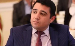 "Boşanmaların sayı artıb, uşaq dünyaya gətirmə meyilləri azalıb" - Mail Yaqub