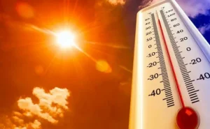 Cənubi Koreyada ölümcül istilər 7 nəfərin həyatına SON QOYUB
