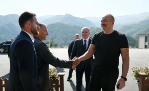 "Armudu stəkanda, özü də paxlava ilə çay içməyiniz ürəyimdən tikan çıxardı"