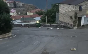 Daşkəsən küçələrində təhlükə: sahibsiz itlər dəstə ilə dolaşır - FOTO