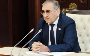 "Ermənilərin bütün mülahizələri, bütün cəhdləri iflasa uğrayır" - Komitə sədri