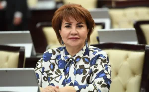"Diplomatların Qarabağa səfərinə İrəvandan gələn reaksiyalar qəbuledilməzdir" - Afət Həsənova
