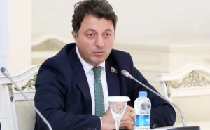 “Avropa Parlamenti populistlər yığıncağıdır” - Tural Gəncəliyev