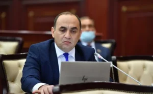 "Hamını günahkar çıxarmaqla məşğul olacaqsansa, iş olmayacaq" -  Deputat