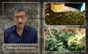 Ucarda narkotik yetişdirən şəxs saxlanıldı