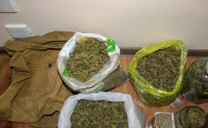 Bakıda 40 kq narkotik aşkarlandı