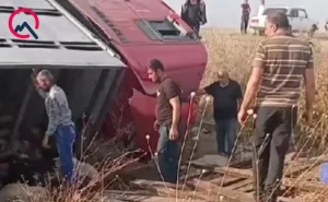 Sürücü yuxulayıb maşını aşırdı -  Heyvanlar tələf oldu