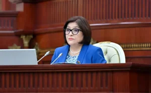 Sahibə Qafarova xarici səfərlərlə bağlı rəqəmləri AÇIQLADI