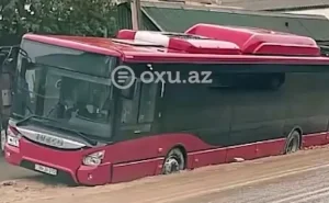 Avtobus yolda yaranan çuxura düşdü -  VİDEO