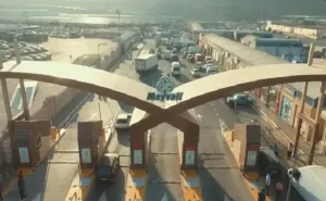 "Meyvəli" bazarında dava:  Fəhləni döydü, cinayət işi açıldı