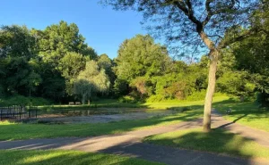 Məktəblilər parkda insan qalıqları  AŞKARLADI