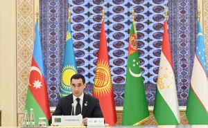 "Azərbaycanın üzvlüyü məntiqi nəticədir" - Berdiməhəmmədov