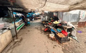 Bu bazarda yoxlama keçirildi -  Nöqsanlar aşkarlandı - FOTO