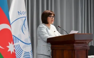 Sahibə Qafarova Tanzaniyada koordinasiya iclasına sədrlik etdi -  FOTO