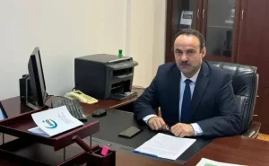 "AKP hakimiyyəti daxilində də bu kimi səslərin çıxması üzücüdür" - Politoloq 
