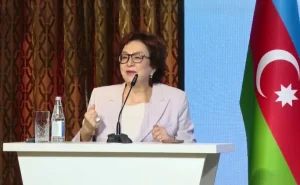 Məleykə Abbaszadə müəllimləri tənqid etdi:  Təhsil eksperti irada münasibət bildirdi