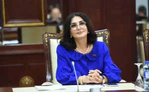 "Sülhü uzaq gələcəyə saxlamaqdansa, bu gün rəsmiləşdirmək lazımdır" -  Deputat