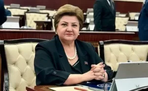 “Türkiyədə İlham Əliyevə qarşı yönələn çıxışlar qətiyyən qəbuledilməzdir” - Tənzilə Rüstəmxanlı
