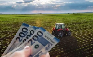 Aqrar subsidiyaların hüquqi statusu qanunla müəyyənləşdirilir