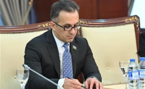 "Ölkəmiz beynəlxalq əməkdaşlığın fəal və etibarlı tərəfdaşıdır" - Komitə sədri