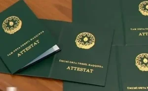 Məktəb direktoru xadimənin attestatını 500 manata  SATDI